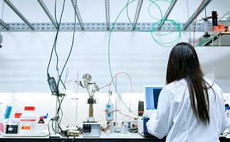 Качественный рост: как государство помогает развиваться малому бизнесу