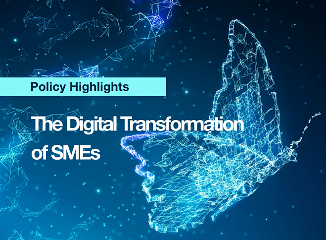 The Digital Transformation of SMEs